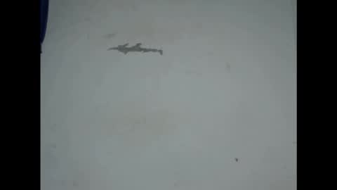 cornxcunt online show from February 2026 09:44:02 PM