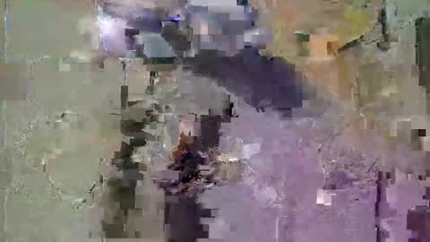 Snapshot of corradog83 chatting on December 2025 08:56:02 AM Corrado online show from December 2025 08:56:02 AM