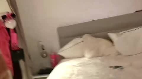 Snapshot of coupletoy97 chatting on February 2025 06:48:02 PM Sandra and Tom online show from February 2025 06:48:02 PM