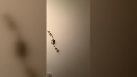 cp1a online show from December 2025 08:37:02 PM