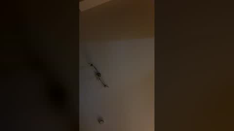 cp1a online show from March 2026 11:53:01 PM