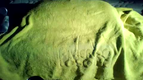 crave_me_ online show from November 2025 01:50:02 AM