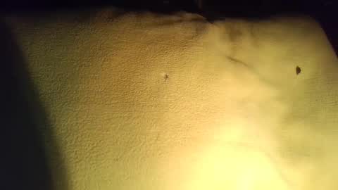 crave_me_ online show from November 2025 03:53:02 AM