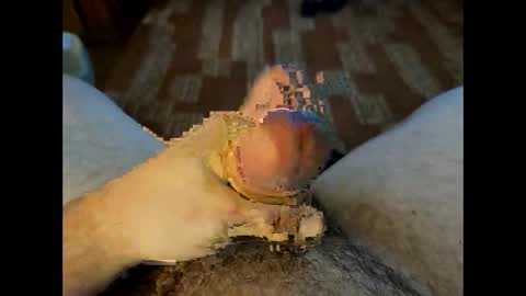 Crazycock online show from March 2026 04:22:01 PM