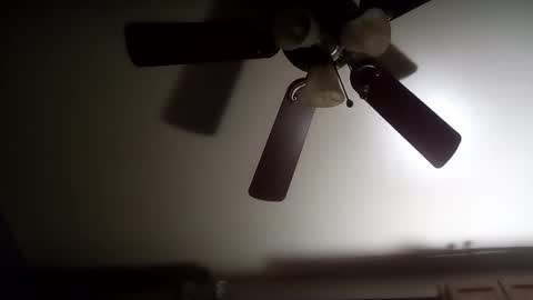 creampie315 online show from December 2024 11:44:01 AM