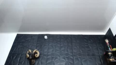 Hanna  online show from February 2026 10:25:01 AM