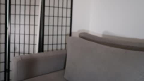 Laura online show from January 2026 09:29:01 PM