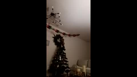 Bella online show from December 2025 03:48:01 AM