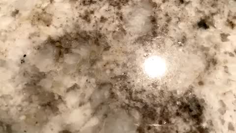 Crushit online show from February 2025 07:13:02 AM