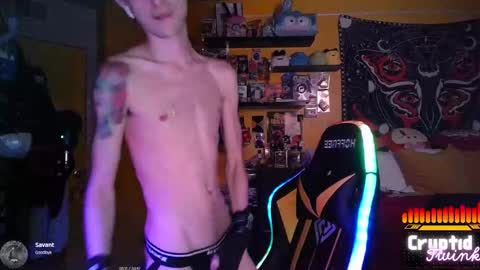 Snapshot of cryptidtwink chatting on March 2026 06:30:01 AM CryptidTwink online show from March 2026 06:30:01 AM