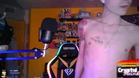 Snapshot of cryptidtwink chatting on March 2026 06:27:02 AM CryptidTwink online show from March 2026 06:27:02 AM