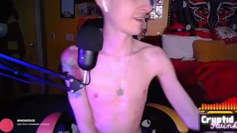 Snapshot of cryptidtwink chatting on April 2026 06:22:02 AM CryptidTwink online show from April 2026 06:22:02 AM