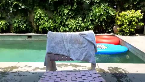 Lin inst lingoodyy online show from February 2025 03:52:02 AM