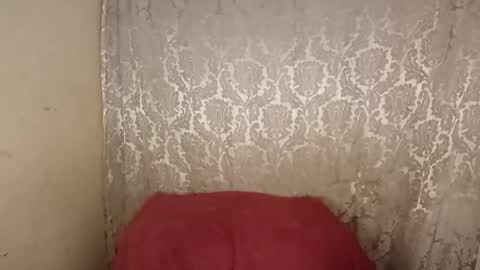 carol     online show from April 2026 02:31:01 AM