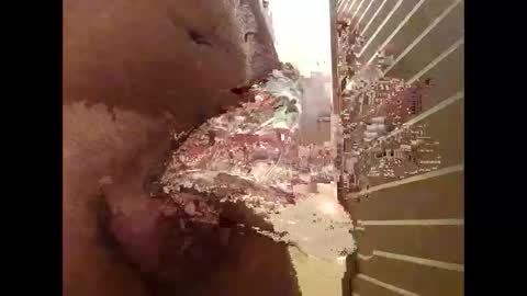 csunny37 online show from January 2026 11:36:02 AM