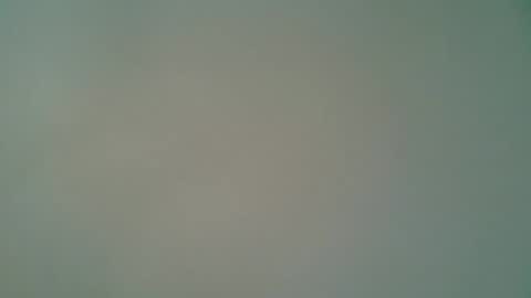 ctbddc online show from February 2025 01:44:01 PM