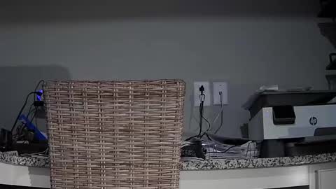 Cubantoo online show from November 2025 11:15:01 PM