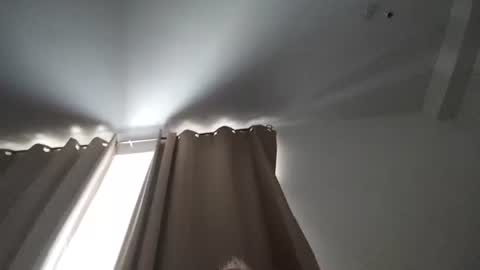 Snapshot of cum286496 chatting on July 2026 11:52:02 AM cum286496 online show from July 2026 11:52:02 AM