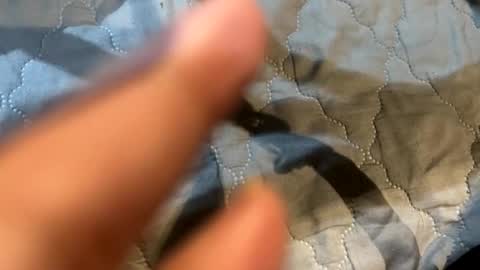 im KIM new girl to spoil online show from November 2025 06:13:02 AM