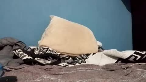 Snapshot of cumbian_chero chatting on February 2025 01:22:01 AM cumbian_chero online show from February 2025 01:22:01 AM