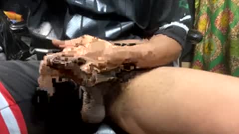 cumbustincock online show from December 2025 03:55:02 AM