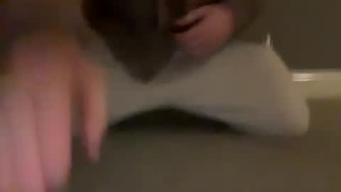 Cumfar online show from March 2026 10:54:01 PM