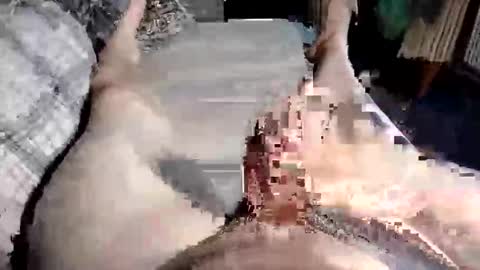 Snapshot of cuminher1975 chatting on October 2025 10:47:02 AM Paul online show from October 2025 10:47:02 AM