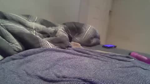 Snapshot of cummbumm69 chatting on February 2026 08:16:01 PM cummbumm69 online show from February 2026 08:16:01 PM