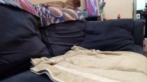 cumonover420 online show from April 2026 01:41:02 AM