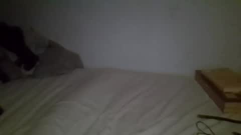 Snapshot of cunty_l0ve chatting on May 2026 04:06:01 AM cunty_l0ve online show from May 2026 04:06:01 AM