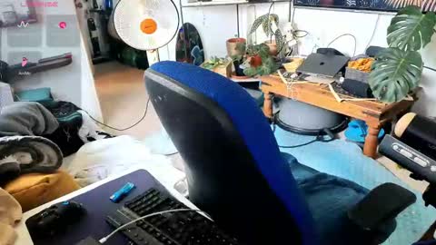 curiousgenie online show from March 2026 09:32:02 AM