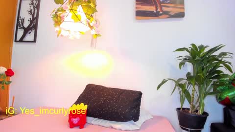 Rose online show from January 2025 08:04:01 PM