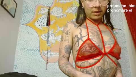 Curuba online show from December 2024 01:09:01 PM