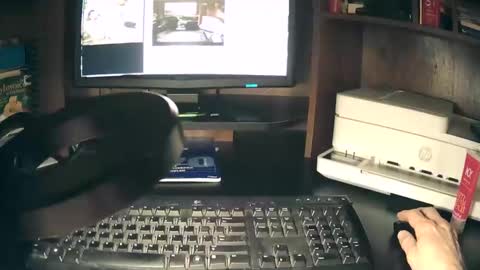 curvelovetool online show from April 2026 02:14:01 AM