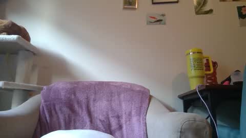 Cate online show from January 2025 09:25:02 PM