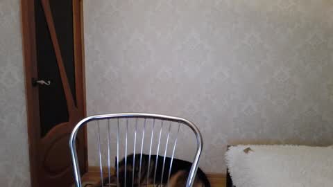 Snapshot of cute_strawberry_ chatting on December 2024 04:45:02 AM cute_strawberry_ online show from December 2024 04:45:02 AM