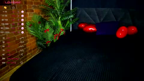 Tory online show from February 2026 08:25:02 PM