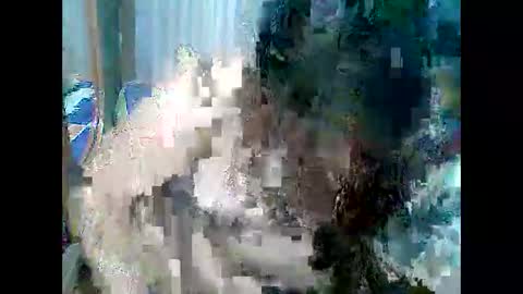 cutechubbyasian online show from April 2026 11:30:02 AM