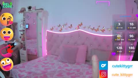 Kitty online show from November 2025 03:03:02 PM