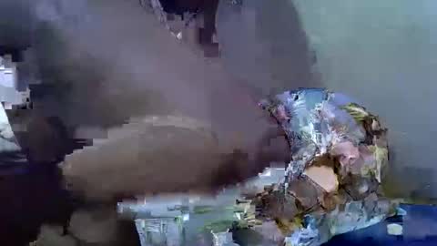 Snapshot of cutesexy44 chatting on October 2025 07:09:02 AM cutesexy44 online show from October 2025 07:09:02 AM