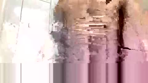 Snapshot of cvc2025 chatting on November 2025 12:20:02 AM cvc2025 online show from November 2025 12:20:02 AM