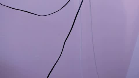 darling online show from February 2025 09:56:01 AM