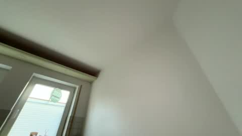 Snapshot of dachdecker7269559338 chatting on August 2026 04:00:01 AM Dachdecker online show from August 2026 04:00:01 AM