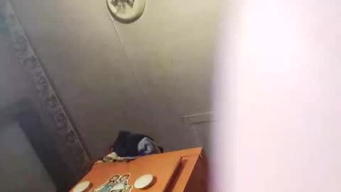 Snapshot of daddy5567127 chatting on February 2025 09:04:02 PM daddy5567127 online show from February 2025 09:04:02 PM