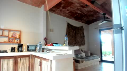 Belle  Email daddydaycarecb  online show from March 2025 01:45:01 PM