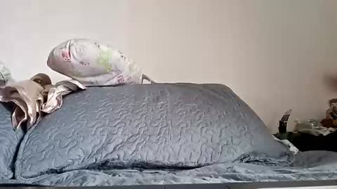 daddybig749314 online show from July 2026 07:02:02 PM