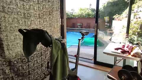 Snapshot of daddycache chatting on November 2025 03:43:02 PM bas online show from November 2025 03:43:02 PM