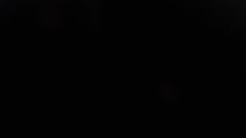 DDick online show from November 2025 11:23:02 AM