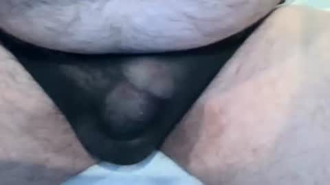 Van online show from February 2025 08:36:01 PM