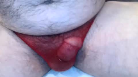 Van online show from February 2026 04:44:01 AM